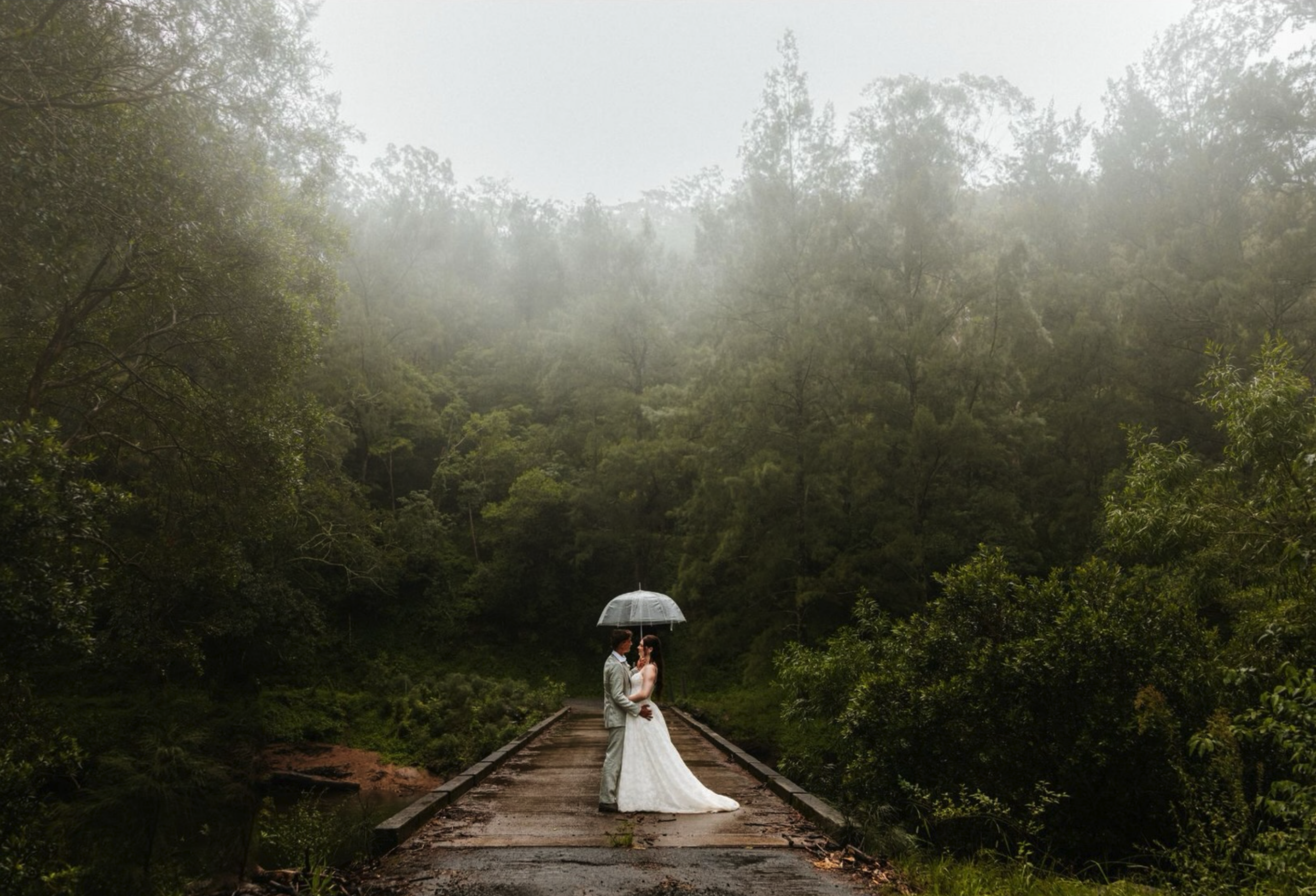 Bride and groom Ella and Jack embracing during their intimate Wildwood Kangaroo Valley elopement surrounded by dramatic natural scenery and soft golden light.